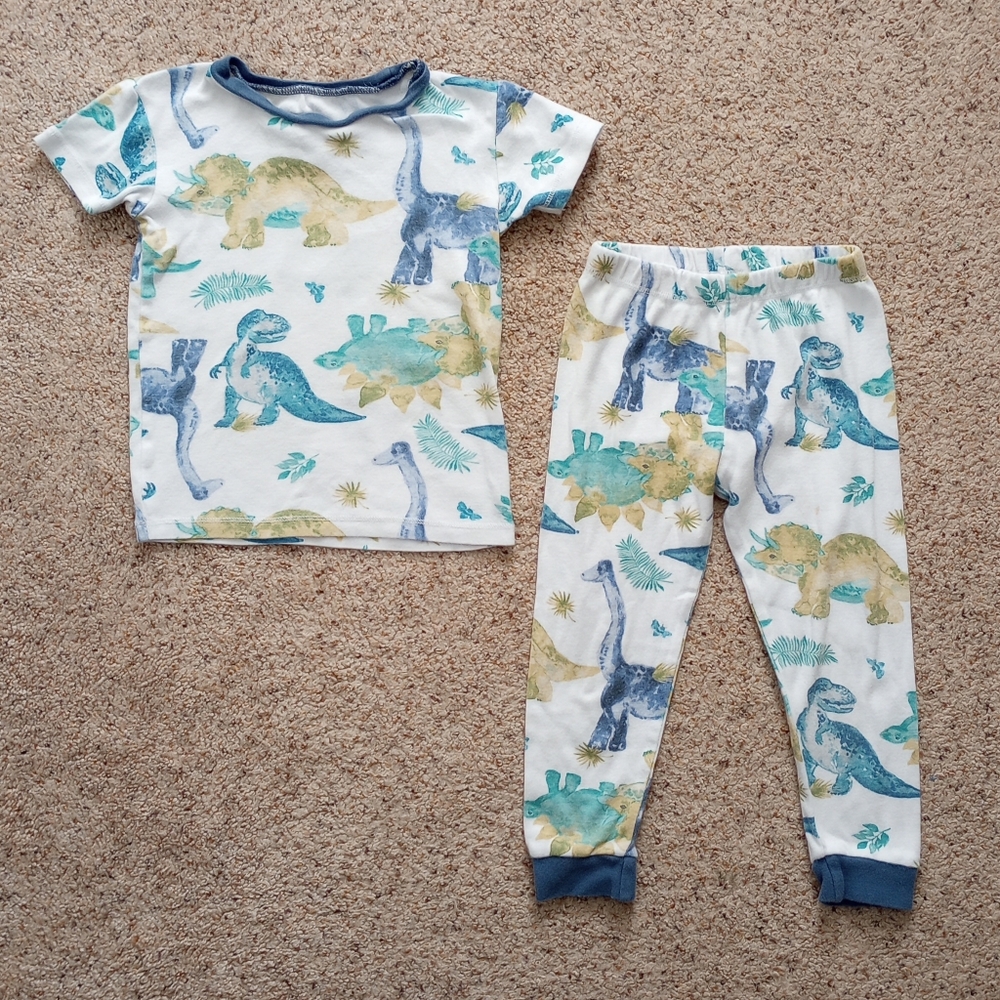Burt's Bees Kids Dinosaur Pajamas 3T